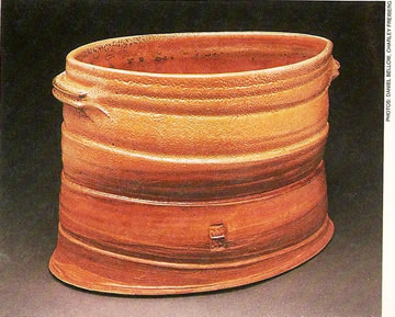 SHINO REDUX 2010, Tom White Pottery